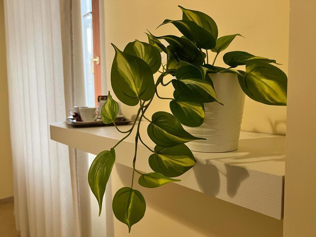 Pompei Royal Suite 外观 照片